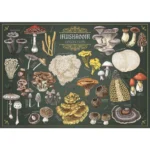 Puzzle Trefl 500 piese Finders Keepers Ciuperci – imagine de prezentare