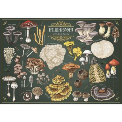 Puzzle Trefl 500 piese Finders Keepers Ciuperci – imagine de prezentare
